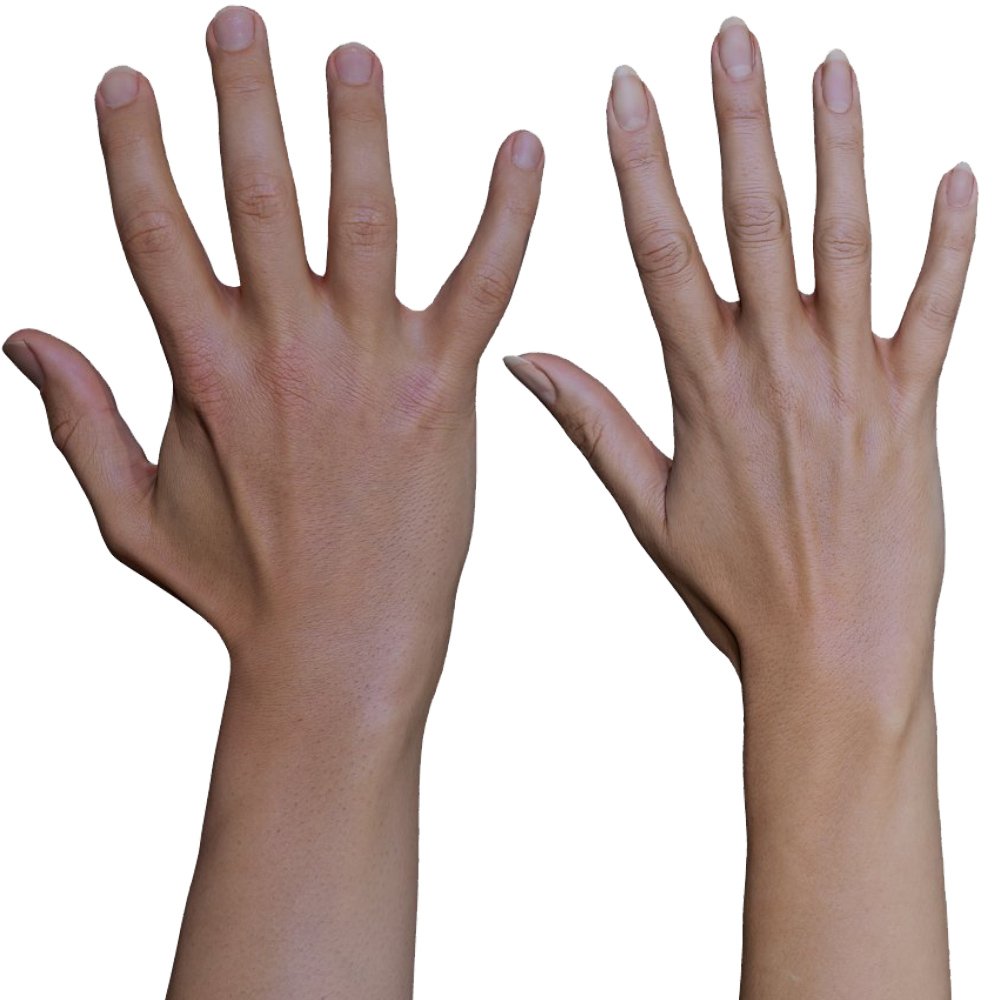 Women Hand Comparison   Male Female W 20s 1000x1000 